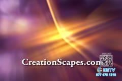 TV Content Image